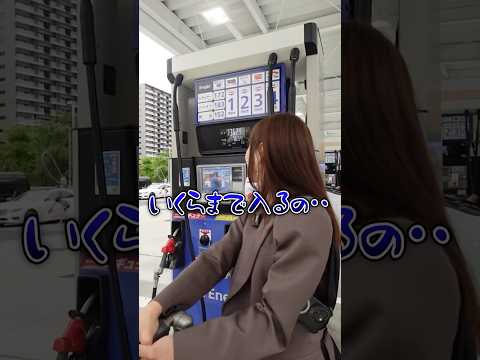 【衝撃の金額】フェラーリをガソリン満タンにしてみたら… #あま猫 #あま猫チャンネル #フェラーリ #ガソリン満タン