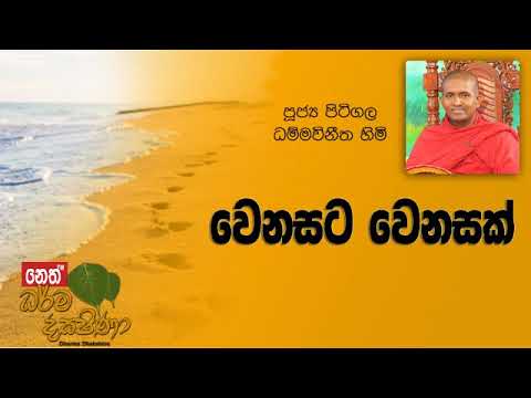Darma Dakshina 2019.03.20 - Pitigala Dammawinitha Himi