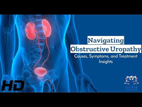 Too Much Peeing Here s What Your Body is Trying to Tell You