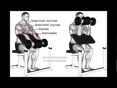 Dumbbell Reverse Preacher Curl 990x671