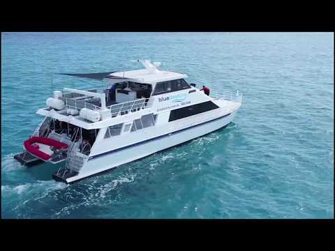 Blue Destiny Boat Charters
