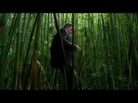 LOST All Music Themes and Motifs - Season 1 (1)