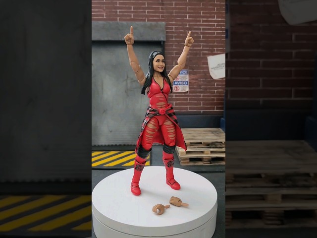 Vídeo relacionado con Brie & Nikki Bella - Pack De Lucha Serie 38 - WWE Figuras De Acción