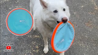 Chuckit Paraflight Flyer | Honest Review