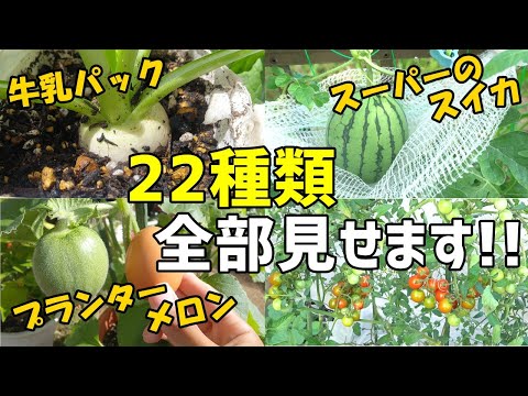 , title : 'のりんごの庭の野菜・果物たちを大公開!!'