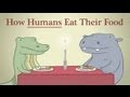 Hippo & Croc: How Humans Eat Their Food 