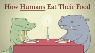 Hippo &amp; Croc: How Humans Eat Their Food