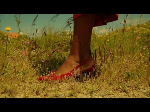 IVANDRO - Beijo Roubado