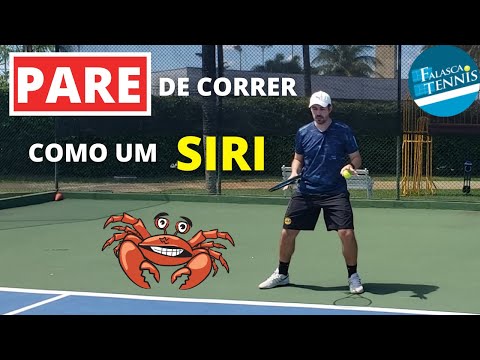 CURTINHAS #40 - PARE de correr como um SIRI !    |    Falasca Tennis