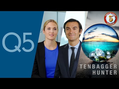 フィデリティ・世界割安成長株投信（愛称テンバガー・ハンター）設定5周年記念運用担当者来日インタビューQ5