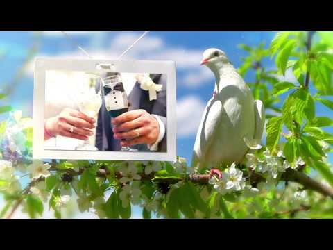 Foto-Video Nunta ARAD - ARNOLD & CORINA