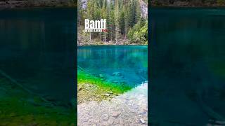 Grassi Lakes🇨🇦Banff #canada #banff #カナダ #バンフ