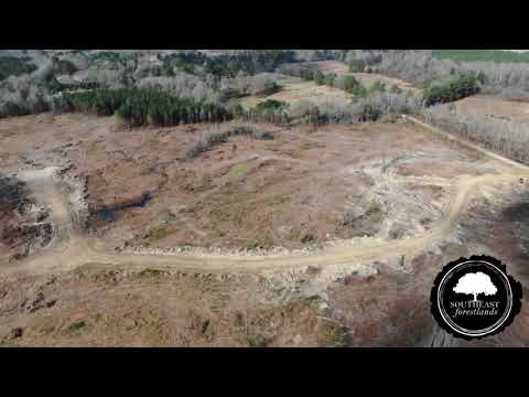 Lauderdale County, MS forestry video thumbnail