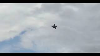 FW Gripen 着陸失敗！GoAround…3Dコブラ着陸に挑む！？さて、結果は…。。。