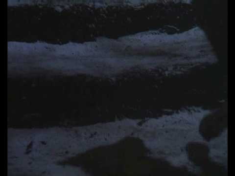 L'Enfant des Loups / The Company of Wolves