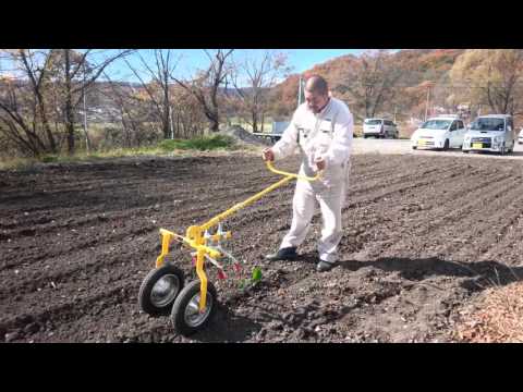 IUCN分類における絶滅の危険性を示す図。