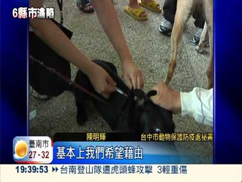 狂犬鼬獾侵中台 調2千劑疫苗備戰