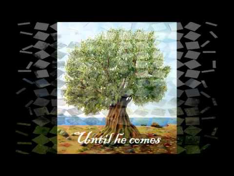 The Olive Tree with lyrics