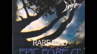 Rare Bird - Turn it all around