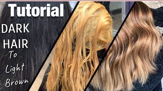 TUTORIAL | Dark Hair To LIGHT Brown | FULL Application + Formulation