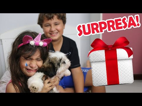 GANHEI O MELHOR PRESENTE DE TODOS!