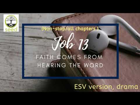 Job 13  | ESV | dramatized audio