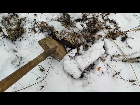 Лучший грунт для рассады. Где взять ИДЕАЛЬНЫЙ ГРУНТ ДЛЯ РАССАДЫ на Халяву. #грунт_для_рассады