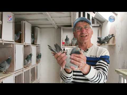 National (Grand Prix) NPO winners 2021: Issoudun - Jan van Oosterbosch, Ossendrecht