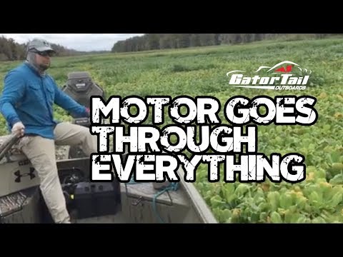GatorTail Motor Goes Through Heavy Vegetation 