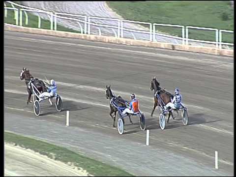 Trotto 08/05/2016 - prova di qualifica