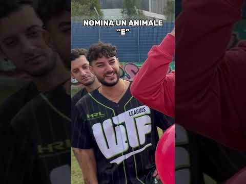 Che animale è elpidedo 😂💀