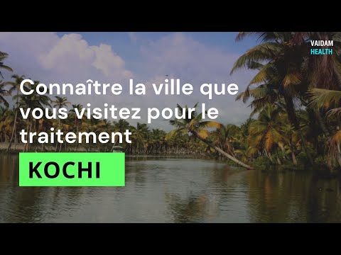 Connaître la ville que vous visitez pour un traitement - Kochi