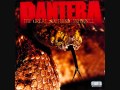 Pantera - The Great Southern Trendkill cover 