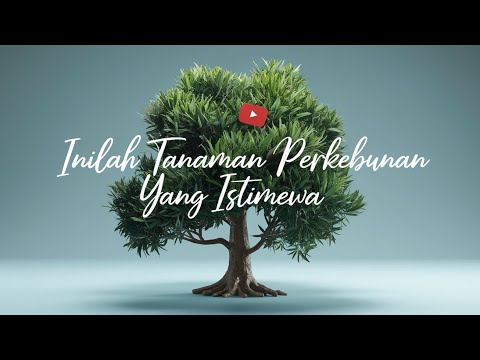 Inilah tanaman perkebunan yang istimewa | Panen tak kenal musim