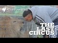 The Last Circus Era Of Exotic Animal Circuses Ending I The Feed