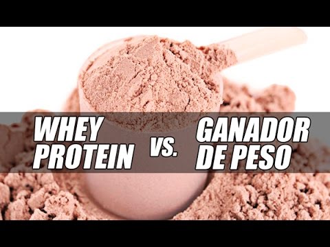 ¿Whey Protein ó Ganador De Peso para ganar músculo?