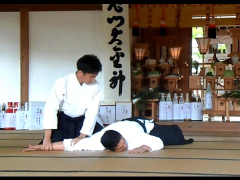 Aikido Ueshiba Mitsuteru Waka Sensei 2016