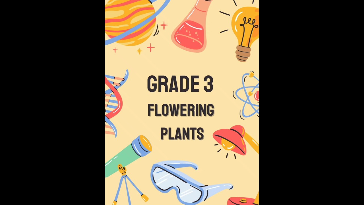 Science grade 3 exam worksheets #shorts #shortsfeed