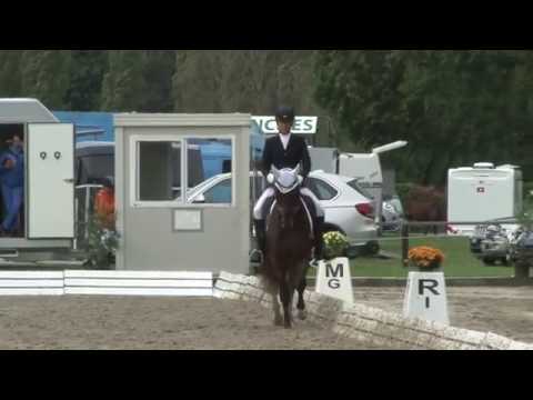 Qrack von Worrenberg - geb. 2012, Quaterback x Rohdiamant