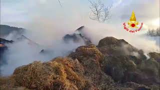 capannone-in-fiamme-ad-andretta-il-grande-lavoro-dei-vigili-del-fuoco