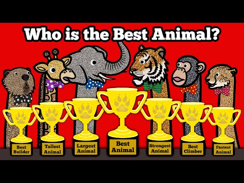 Best Animal Awards | Learn Who is the Tallest, Smallest, Heaviest, Fastest, Most Powerful Animal