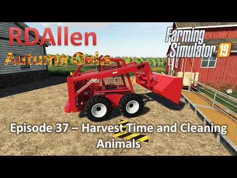 Harvest Time and Cleaning Animals | E37 Autumn Oaks | Farming Simulator 19