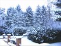 Winterlied - Text 