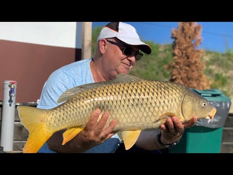 Purcareni Lake  17.05