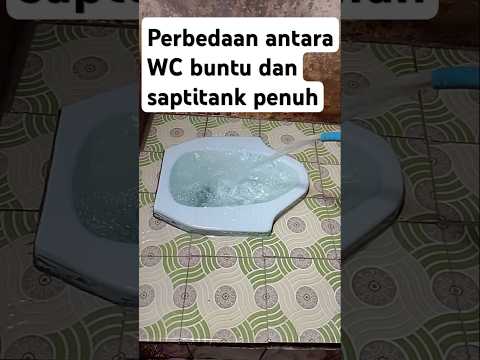 Pernah bingung antara WC buntu dan septik tank penuh? Yuk, simak penjelasannya biar gak salah langkah! 🚽💧