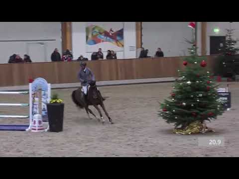 Zineday,geb.2014 v Zinedine-Polydor