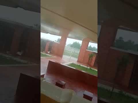 Tensile Umbrella