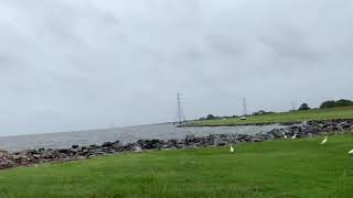 Hurricane Zeta New Orleans La