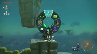 #7 ゼルダの伝説 ティアーズオブザキングダムを思いのままに遊ぶ。7