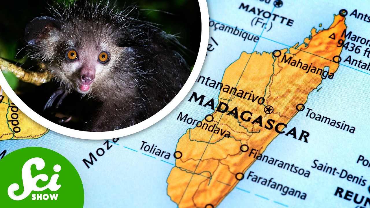 Geology Created Madagascar's Weird Animals